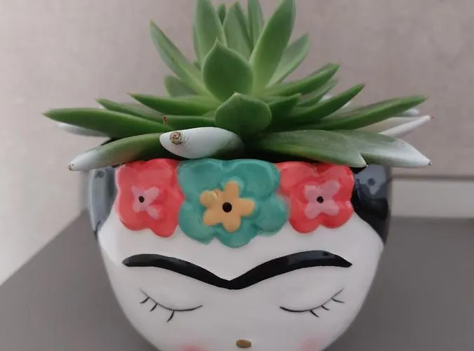 Pensión A Casa Di Frida