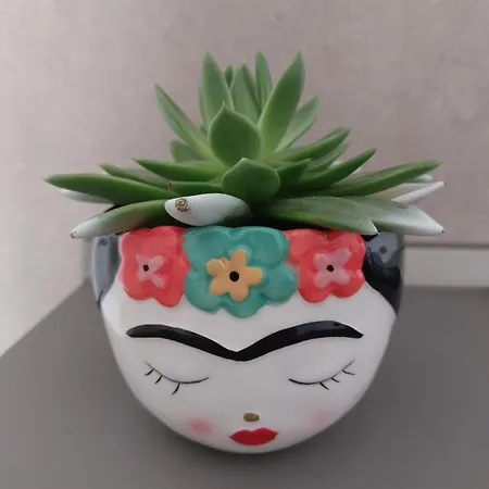 Πανσιόν A Casa Di Frida